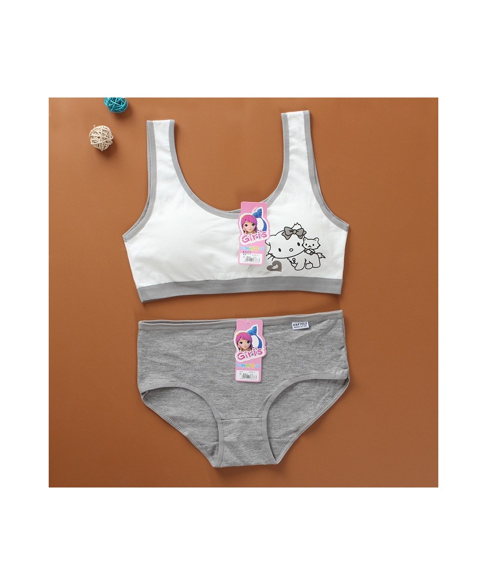 Cartoon Cotton Underwear Teen Girls Training Bras Briefs Sets Seamless Womens Panties Tank Top Bra Big Children Lingerie Vest...