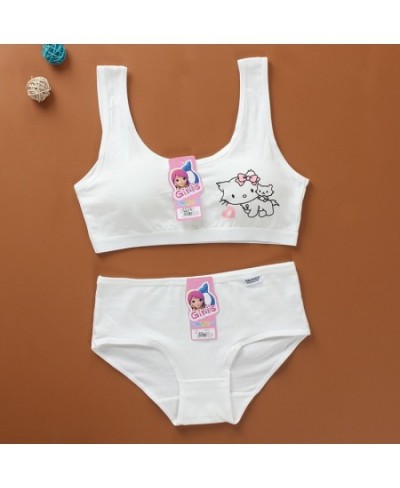 Cartoon Cotton Underwear Teen Girls Training Bras Briefs Sets Seamless Womens Panties Tank Top Bra Big Children Lingerie Vest...