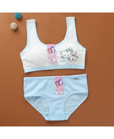 Cartoon Cotton Underwear Teen Girls Training Bras Briefs Sets Seamless Womens Panties Tank Top Bra Big Children Lingerie Vest...