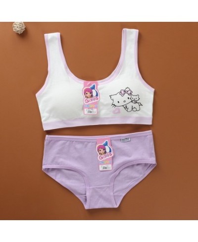 Cartoon Cotton Underwear Teen Girls Training Bras Briefs Sets Seamless Womens Panties Tank Top Bra Big Children Lingerie Vest...