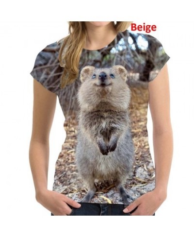 2022 Fashion Koala Bear 3D Printing T Shirt Animal Women Short Sleeve Round Neck T-shirt $26.01 - Women Tops